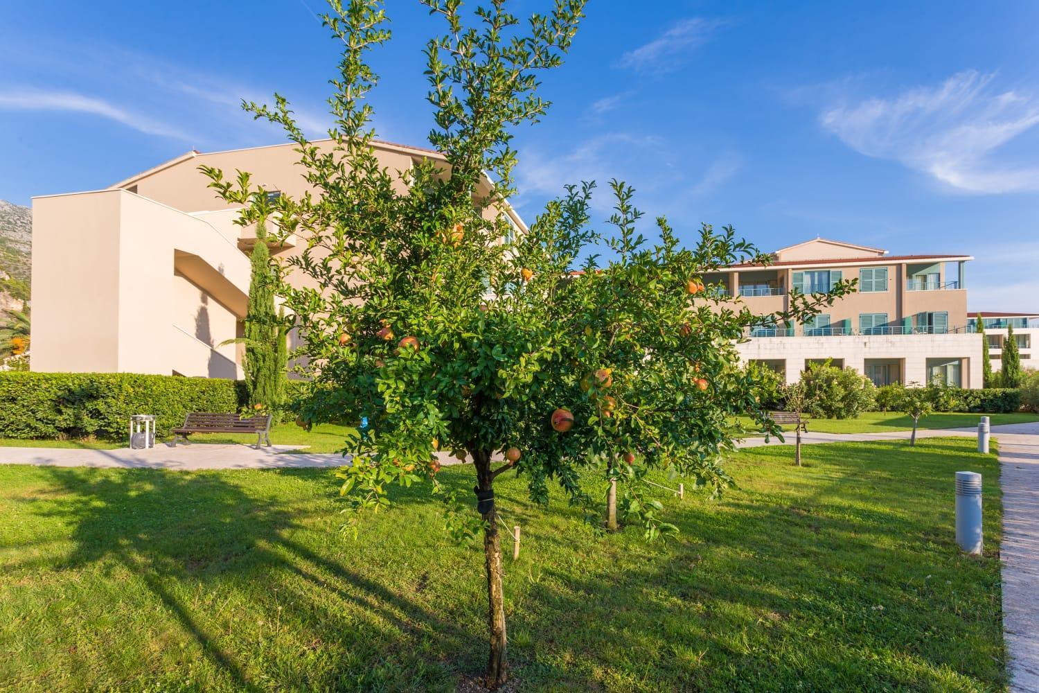 Admiral Grand Hotel Slano Ngoại thất bức ảnh